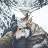Аватар пользователя ДаниИл_6