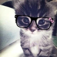 Аватар пользователя Sofiasuperka