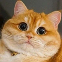 Аватар пользователя Установщик