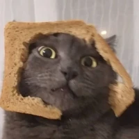 Аватар пользователя Хлебушек 🍞