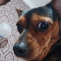 Аватар пользователя Player