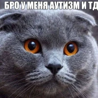 Аватар пользователя Hadija Zorina