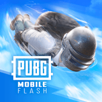 PUBG MOBILE FLASH