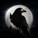 NIGHT CROWS для Android