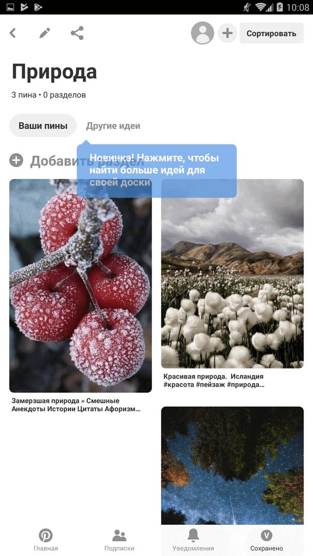 Скриншот #6 из программы Pinterest