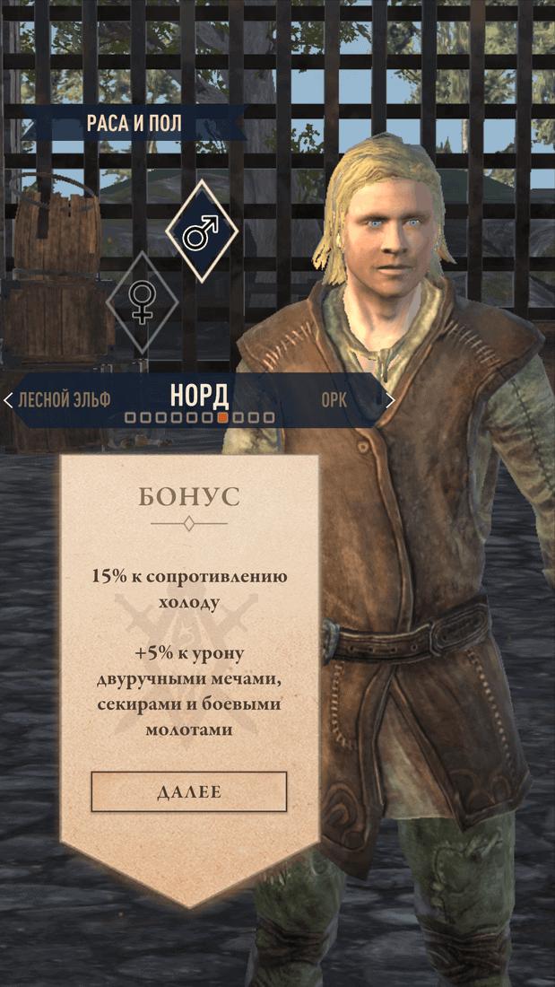 Скриншот #8 из игры The Elder Scrolls: Blades