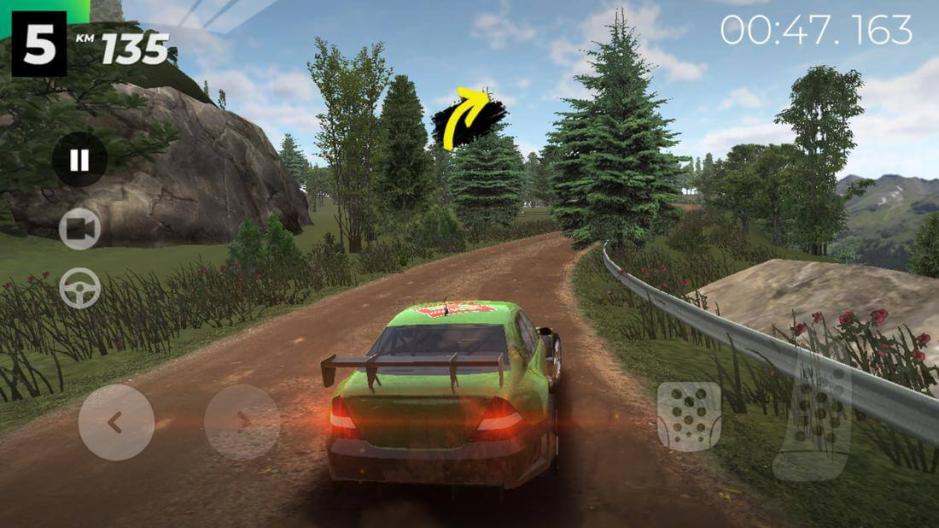 Скриншот #11 из игры Real Rally
