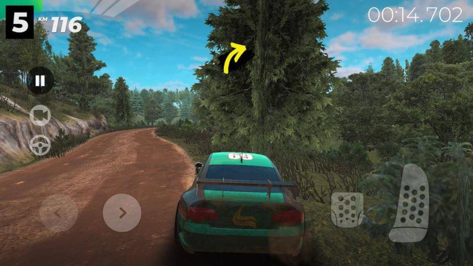 Скриншот #6 из игры Real Rally