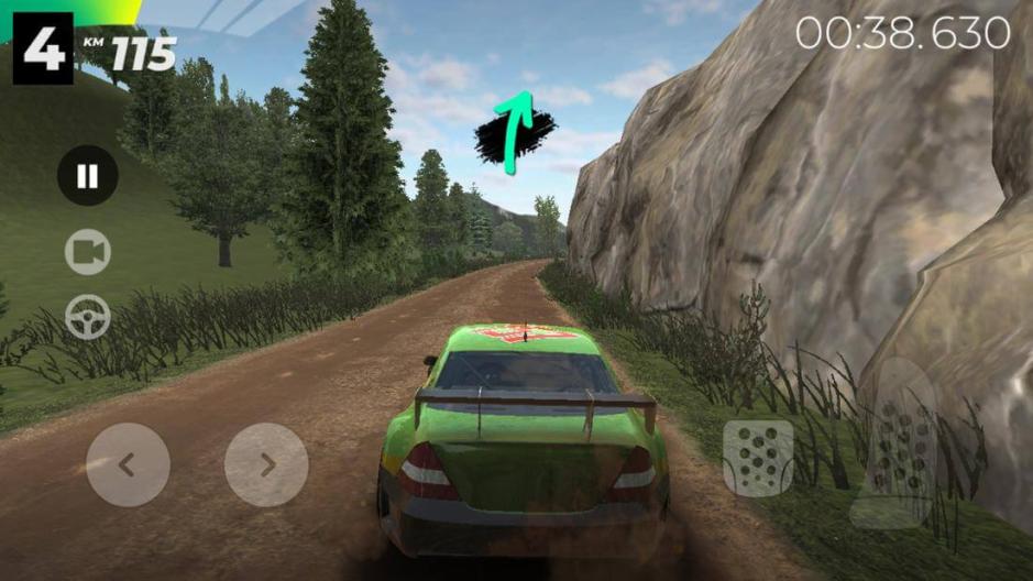 Скриншот #10 из игры Real Rally