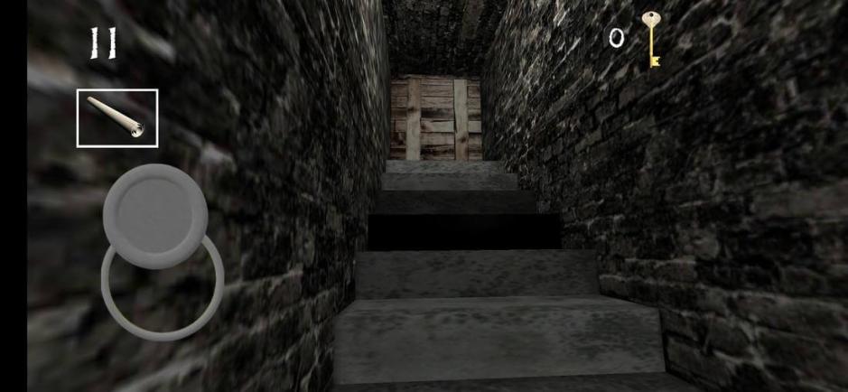 Скриншот #6 из игры Slendrina X